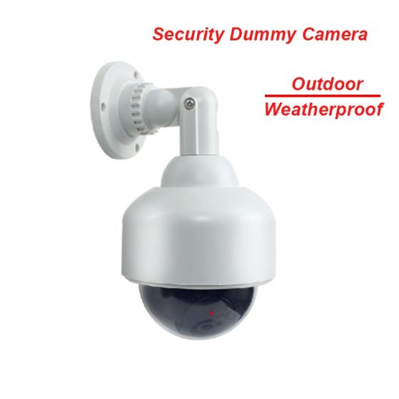 Fayele ip sales camera