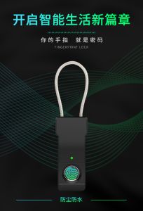 掛鎖小號行李箱包鎖櫃可愛迷你密碼鎖指紋掛鎖鋼絲繩掛鎖頭細鎖通