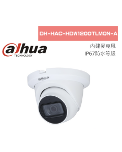 防水IP67 AHD半球12顆 雷射微晶紅外線 1080P 大華 可取 昇銳 海康