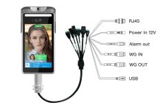 Sdk OEM Fever Scanner Body Temperature Measuring Intelligent Face Recognition Terminal