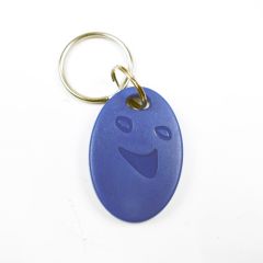 10pcs RFID Key Fobs 13.56MHz China Fudan 1K S50 Chip IC Tags Token Ring NFC Proximity ABS Key