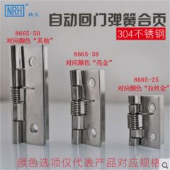NRH8665 stainless steel spring hinge Automatic door closing Gift box package small hinge