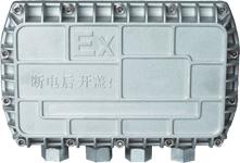 PTS-9005 Explosion Decoder PTZ decoder decoder camera