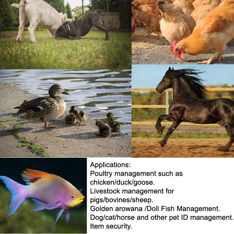 Portable LCD Display Animal Microchip Scanner Tag Barcode Scanner ISO11784/11785 134.2KHz FDX-B Pet 