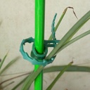 50Pcs/bag 50X Reusable Garden Plastic Plant Cable Ties Adjustable Tree Climbing Support  Garden Hort