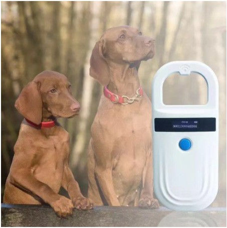 Pet chips/dog chips/horse chips/animal chips/implantable glass tube chips Dog chips (common for each association)