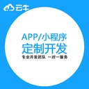 IoT mini app development software customized Bluetooth 4G smart agricultural industry medical source code production