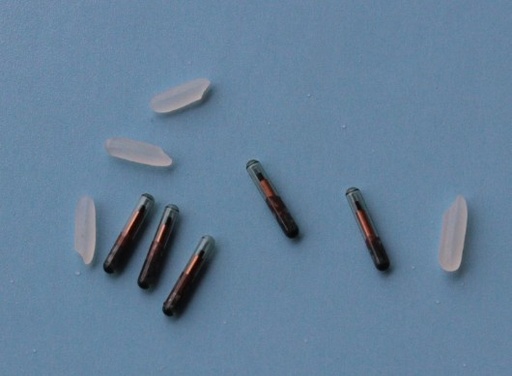 [1984597668] Small pets implanted electronic chip imports pet animal injectable RFID tags grain size