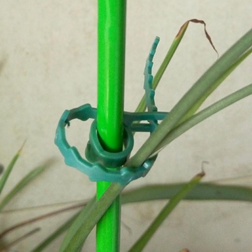 [32873452276] 50Pcs/bag 50X Reusable Garden Plastic Plant Cable Ties Adjustable Tree Climbing Support  Garden Hort